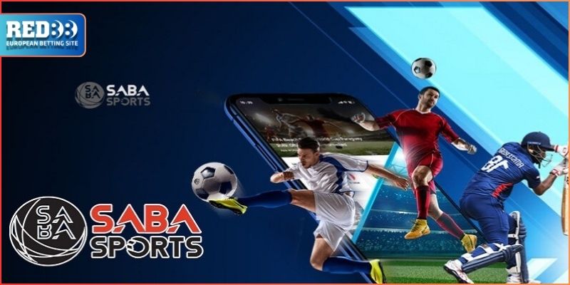 Hướng Dẫn Bạn Cách Cá Cược Game Saba Sports Red88 Hiệu Quả